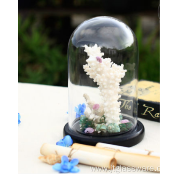 Wholesale Wood Cloche Bell Jar Flower Glass Dome Set